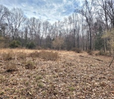 Lots And Land For Sale