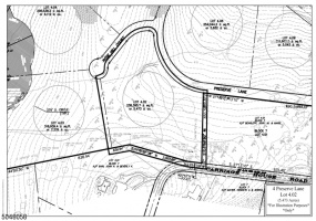 4 Preserve Ln, Bernardsville Boro, *, ,Lots And Land,For Sale,Preserve Ln,5253234