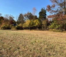 Lots And Land For Sale