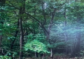 16 Lakeview Dr, Wantage Twp., *, ,Lots And Land,For Sale,Lakeview Dr,5336427