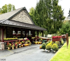 Commercial For Sale