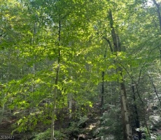 Lots And Land For Sale