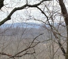 Lots And Land For Sale