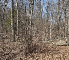 Lots And Land For Sale