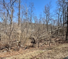 Lots And Land For Sale