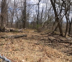 Lots And Land For Sale