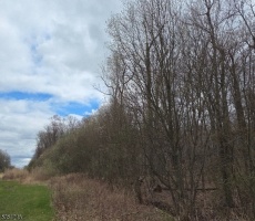 Lots And Land For Sale