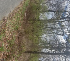 Lots And Land For Sale