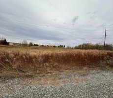 Lots And Land For Sale