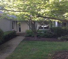 Rental For Sale