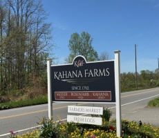 Lots And Land For Sale