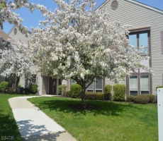 Commercial For Sale