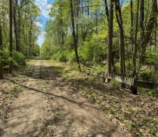 Lots And Land For Sale