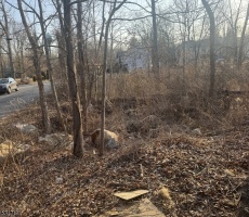 Lots And Land For Sale