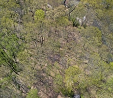 Lots And Land For Sale