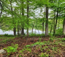Lots And Land For Sale