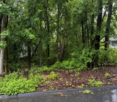 Lots And Land For Sale